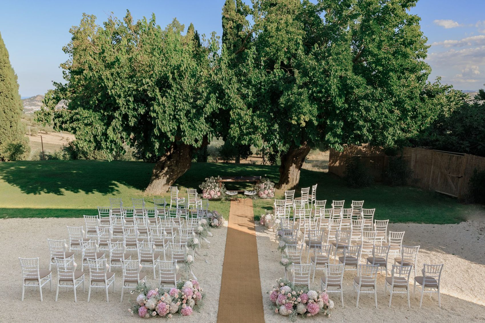 Chairs set out for a ceremony in front of a large tree